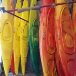 Kayak hulls that are waiting to be trimmed out at the ClearWater Design factory.